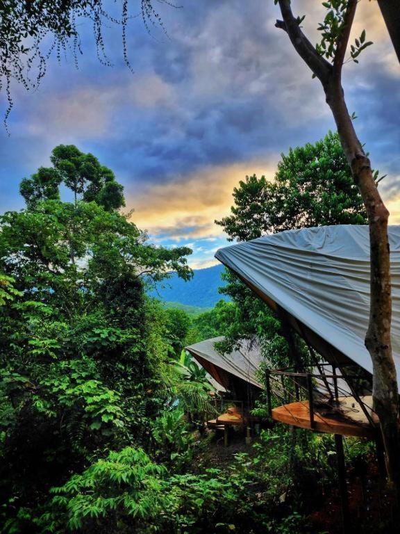 Jungle Gayborhood Hotel And Retreat Center San Luis  Экстерьер фото