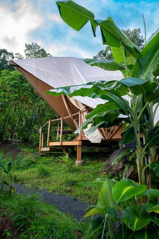 Jungle Gayborhood Hotel And Retreat Center San Luis  Экстерьер фото