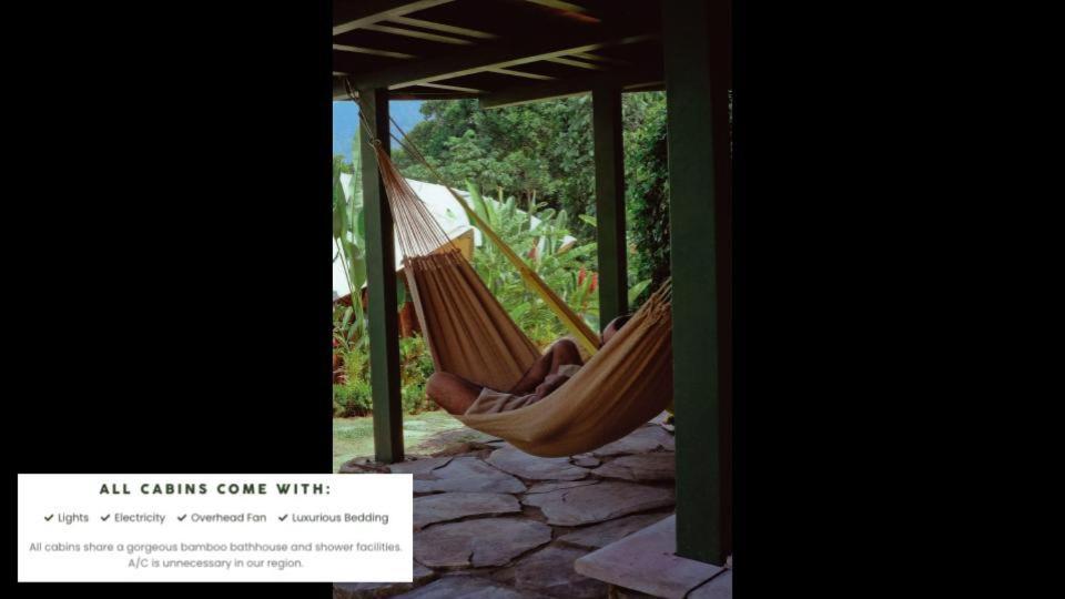 Jungle Gayborhood Hotel And Retreat Center San Luis  Экстерьер фото