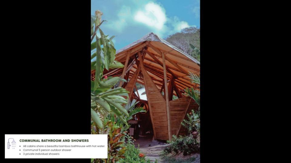 Jungle Gayborhood Hotel And Retreat Center San Luis  Экстерьер фото
