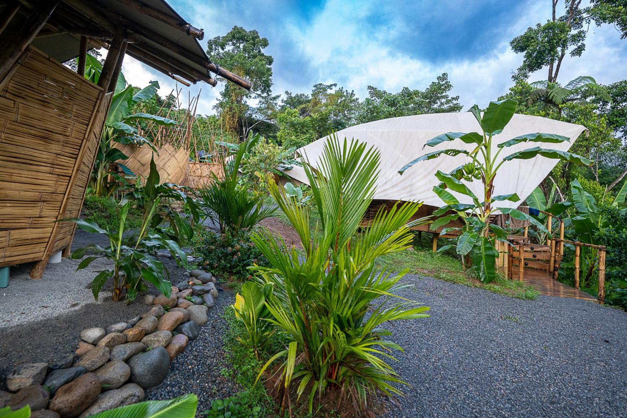 Jungle Gayborhood Hotel And Retreat Center San Luis  Экстерьер фото