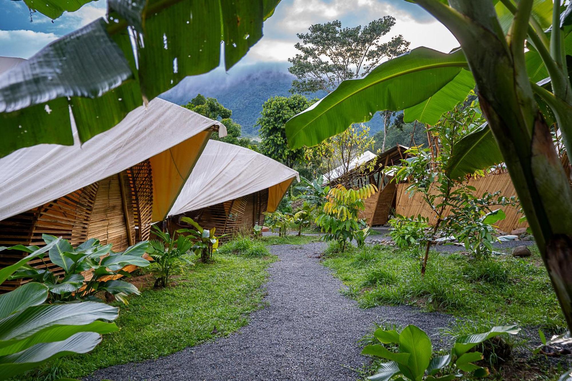 Jungle Gayborhood Hotel And Retreat Center San Luis  Экстерьер фото
