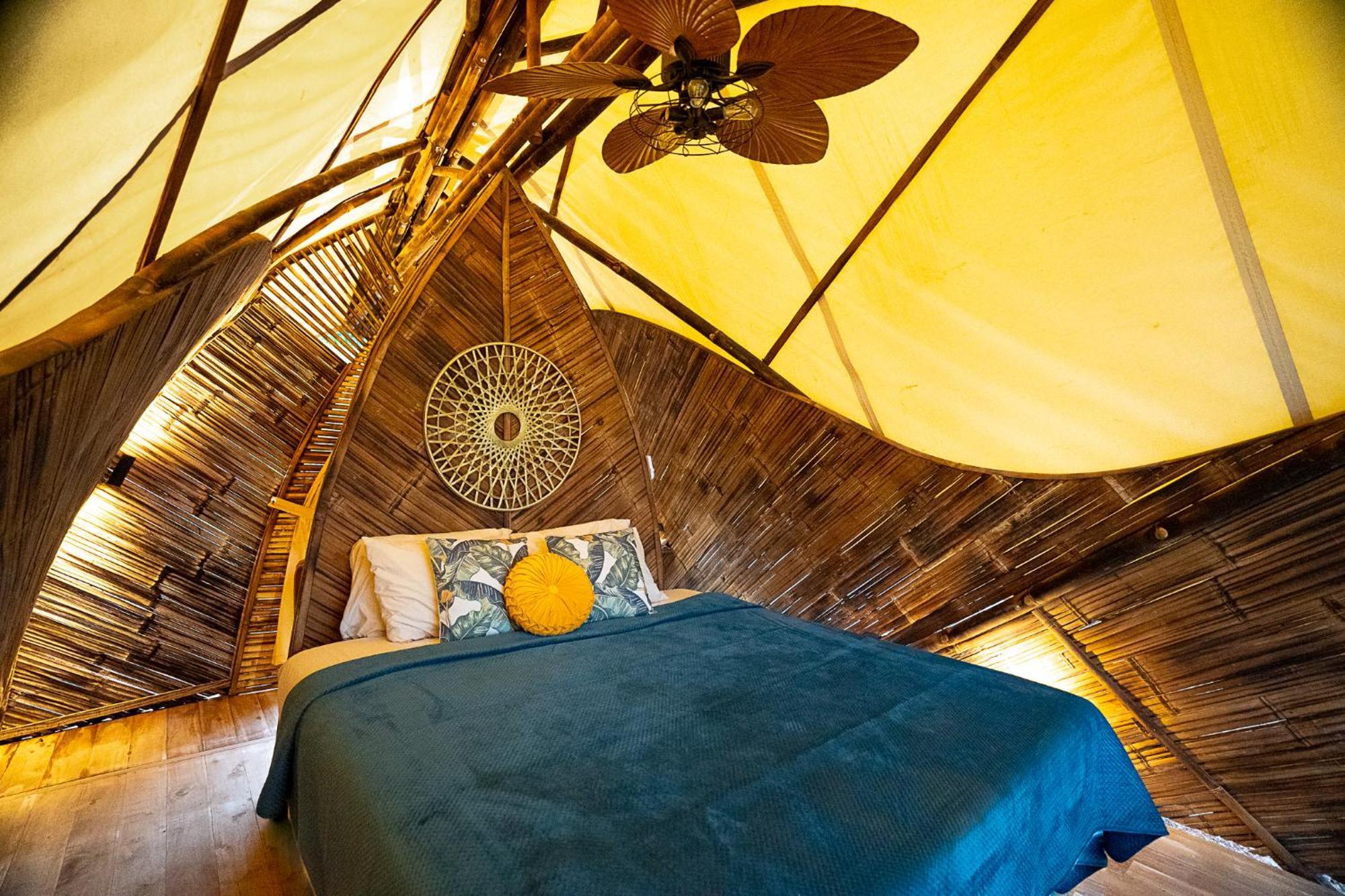 Jungle Gayborhood Hotel And Retreat Center San Luis  Экстерьер фото
