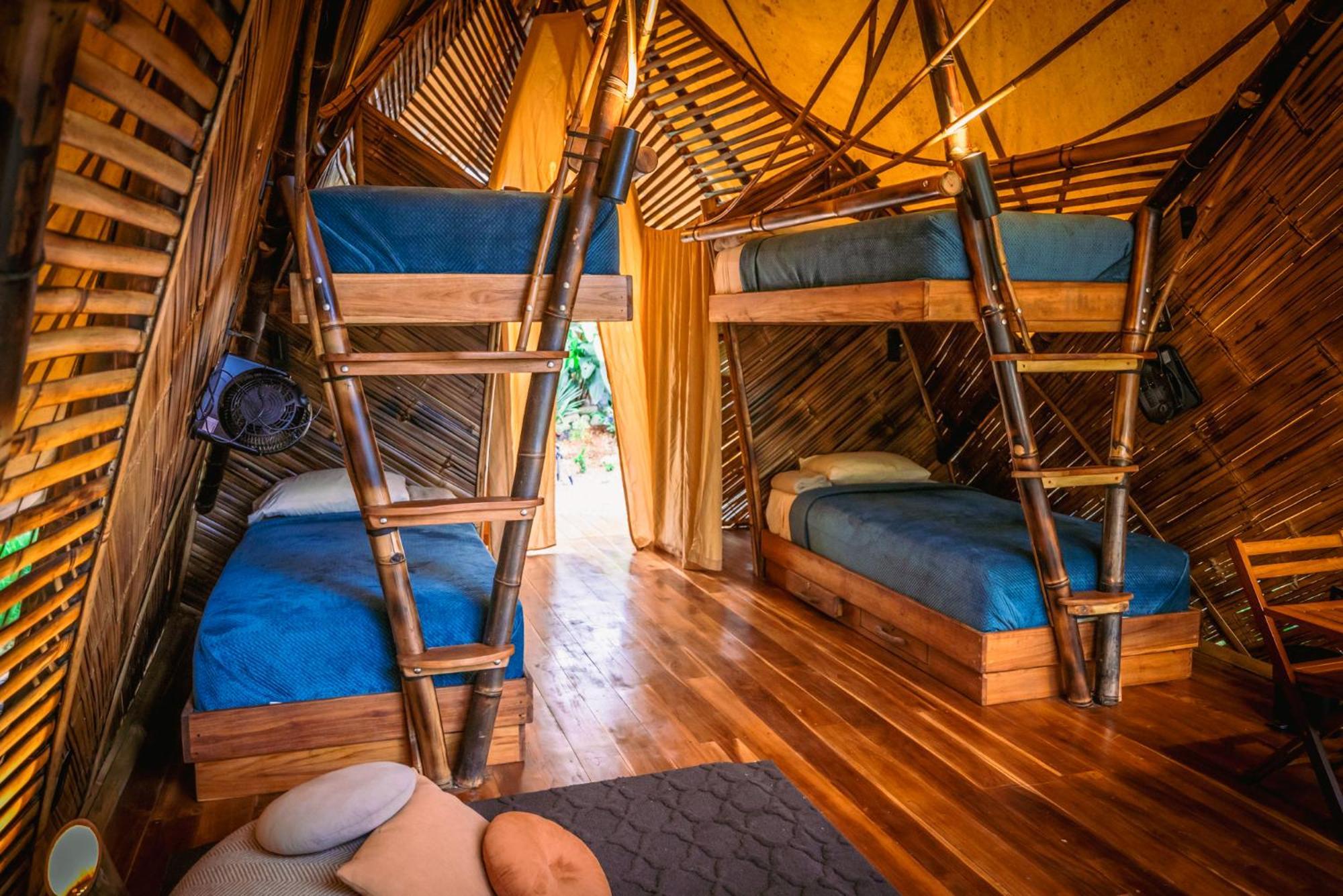 Jungle Gayborhood Hotel And Retreat Center San Luis  Экстерьер фото