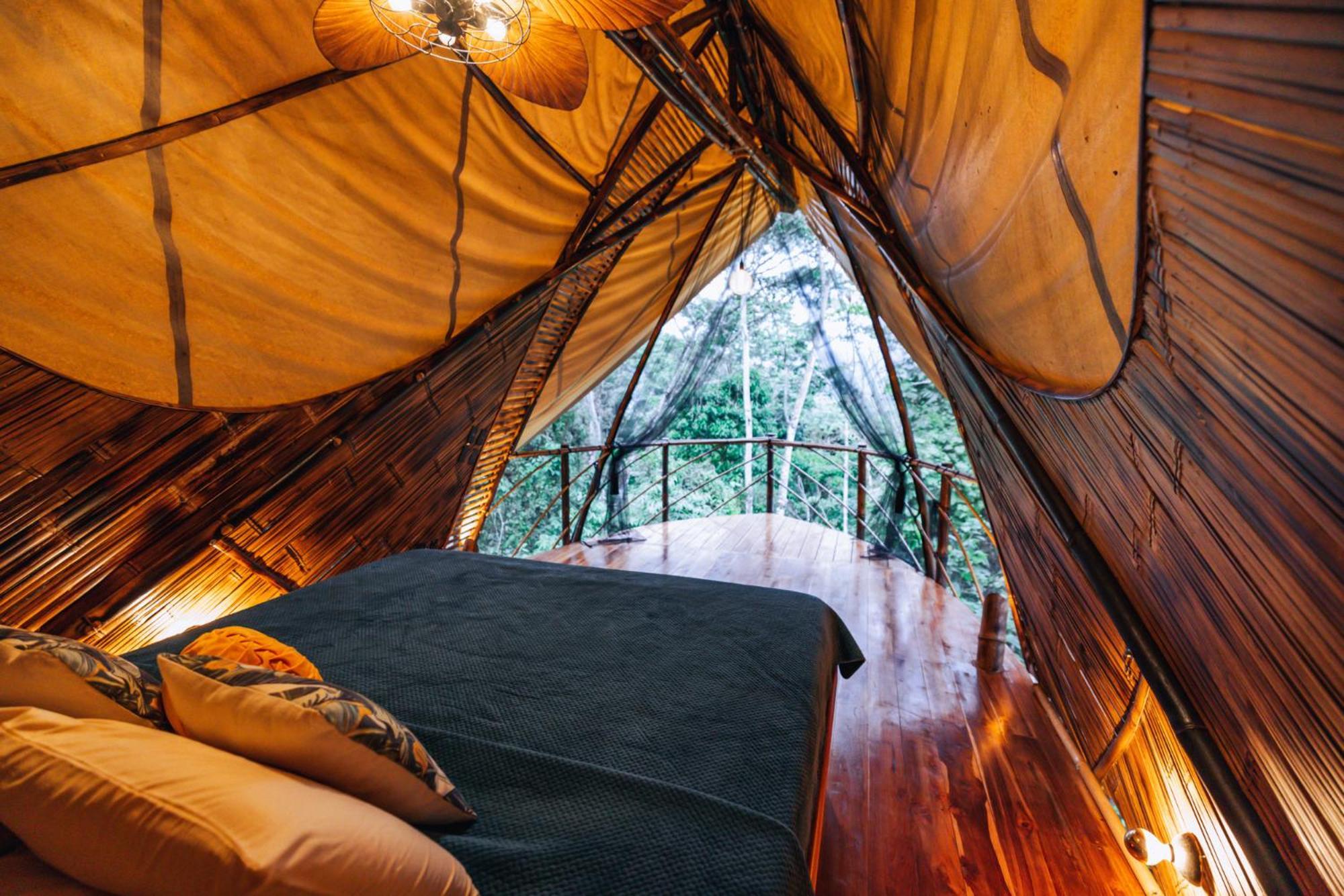 Jungle Gayborhood Hotel And Retreat Center San Luis  Экстерьер фото